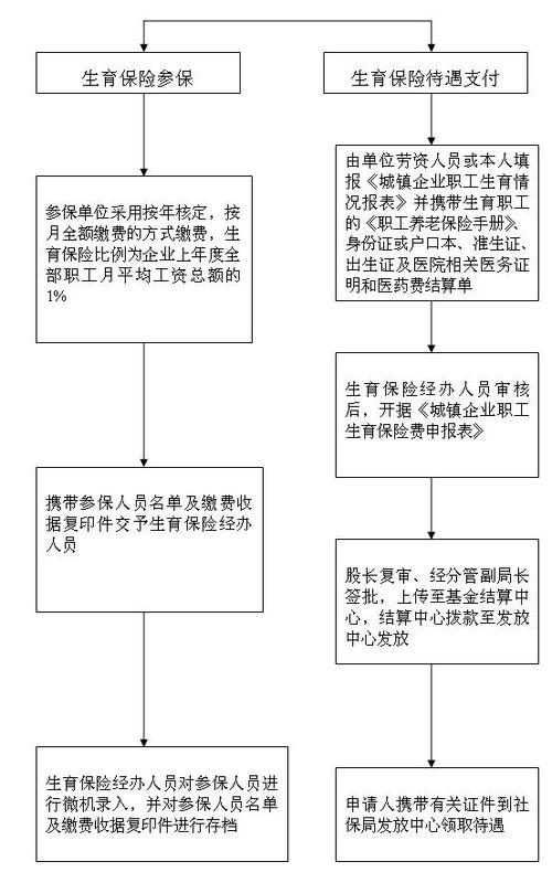 生育保险报销流程 医院场景