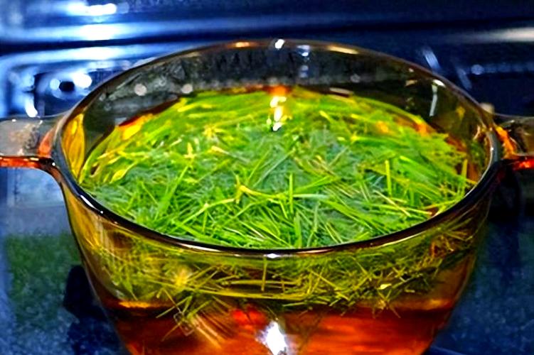 松针茶冲泡后嫩芽舒展开的汤色特写