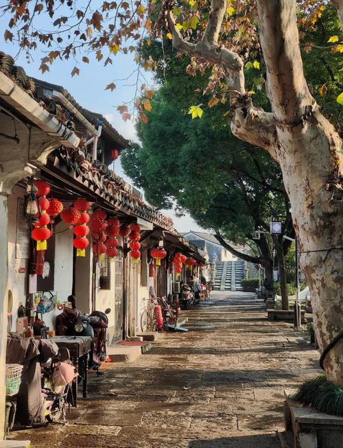 绍兴冬天湿冷街道