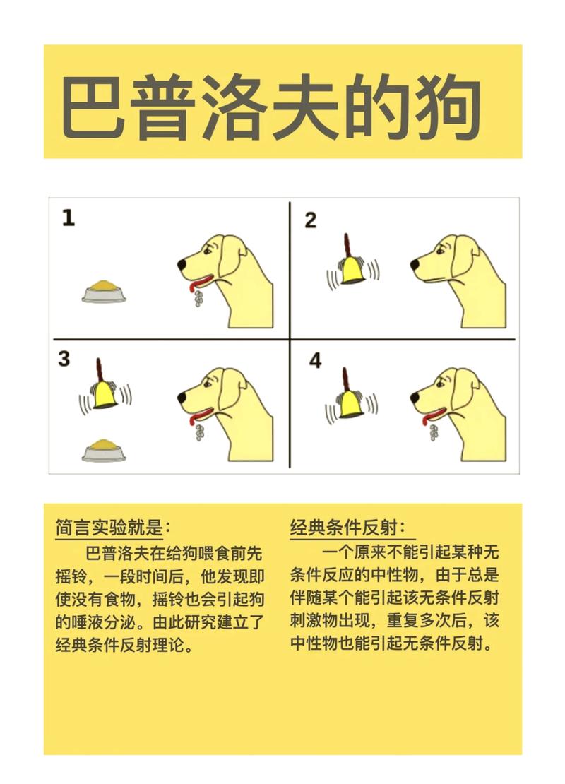 巴甫洛夫实验示意图 铃铛 条件反射 狗