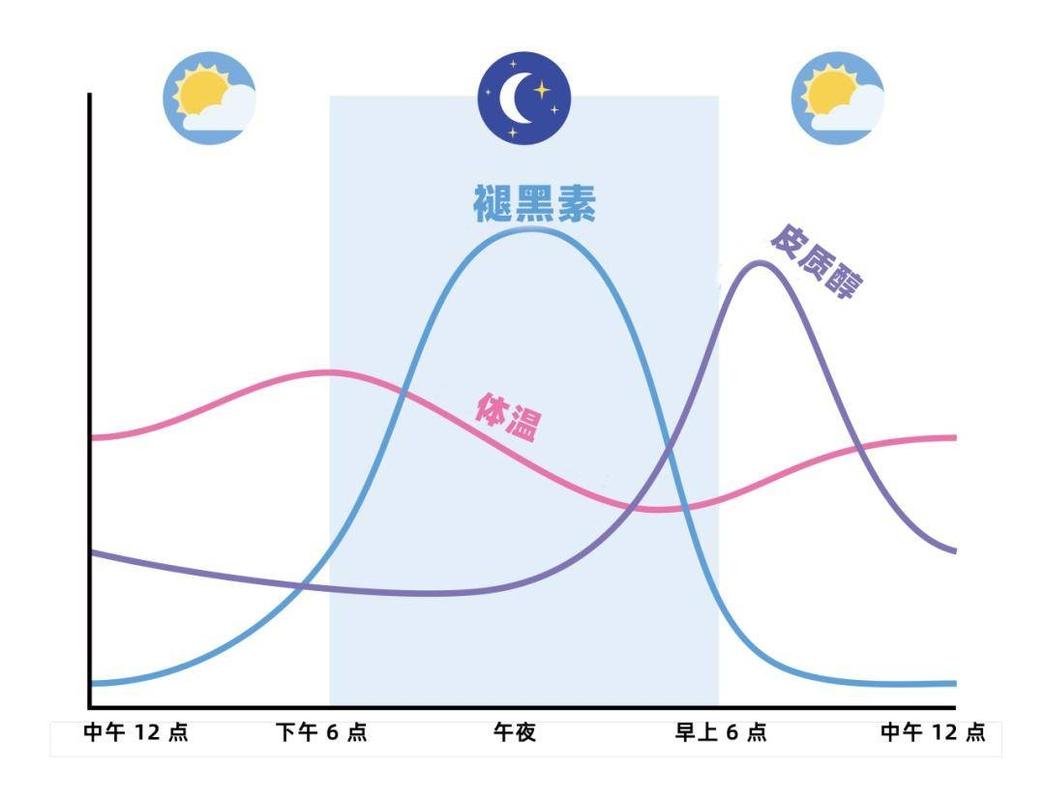 褪黑素分泌与光线影响示意图