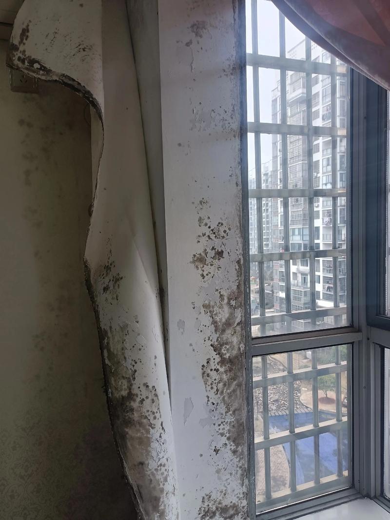 老房翻新墙面渗水发霉实景图