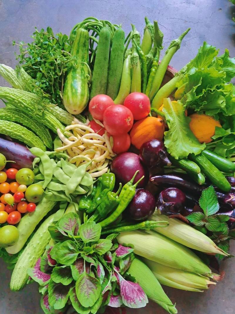 家庭餐桌换季当季新鲜蔬菜摆放图