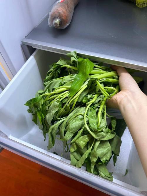 厨房纸包裹绿叶菜冰箱存放图