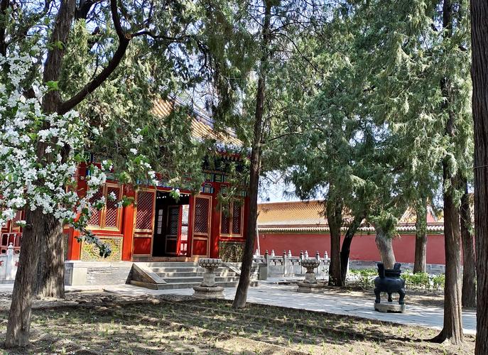 游客坐在故宫慈宁花园台阶休闲打卡拍照图
