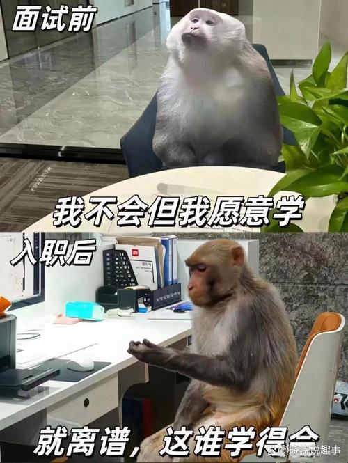 吐槽归吐槽,未来还是得睁大眼睛期待