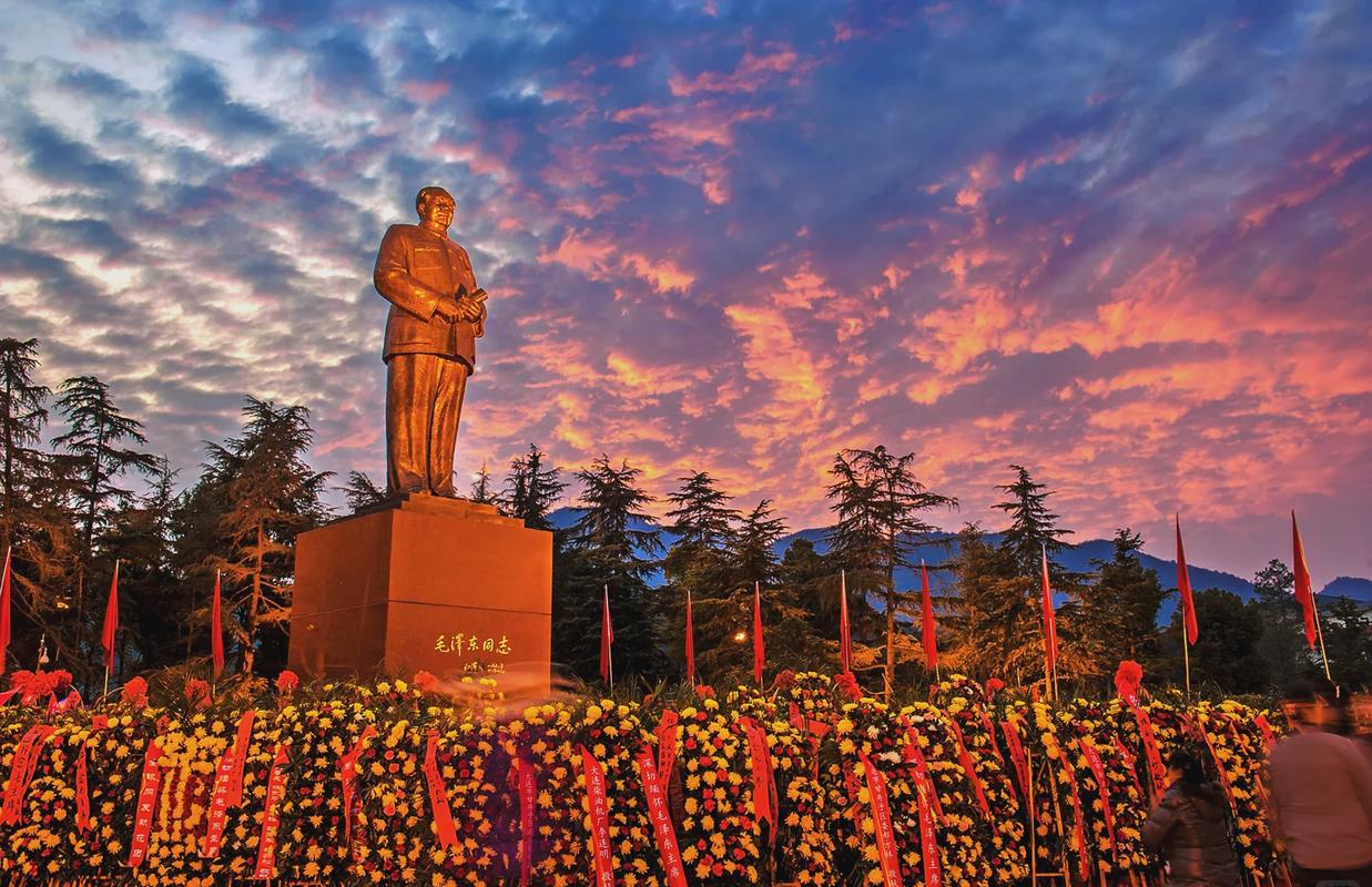 韶山冲村口百年古樟树
