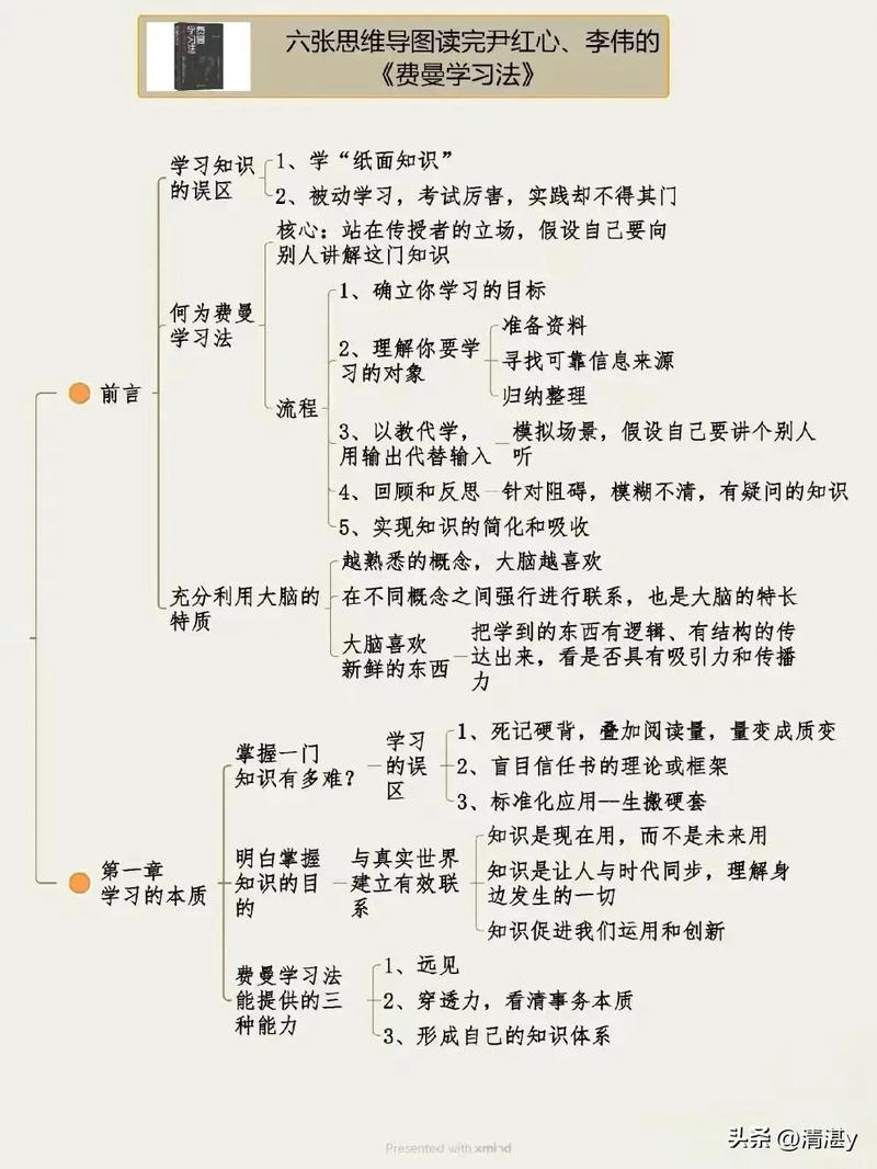 小学生用费曼学习法在白板上画思维导图讲解数学题