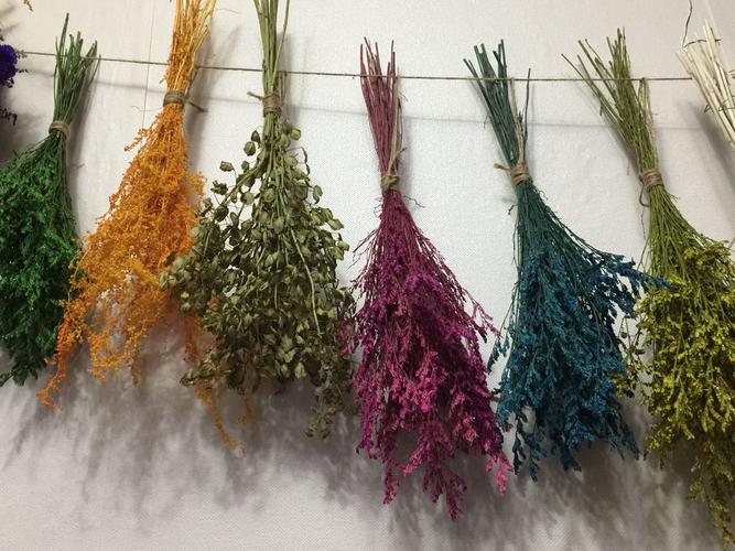 户外晾晒干燥草本植物束