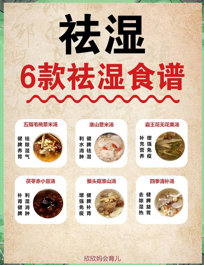常见的去湿法子，哪些适合普通人家用