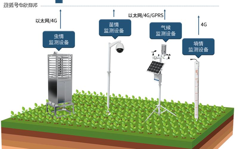智能温室大棚土壤传感器部署实景图
