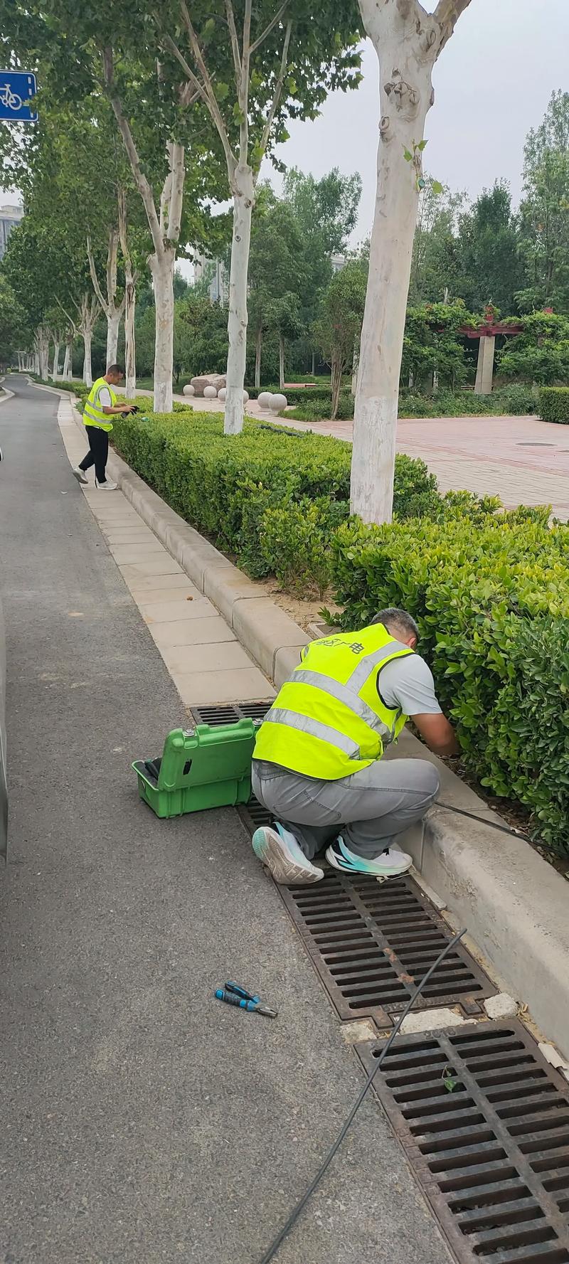 🧼 日常维护篇