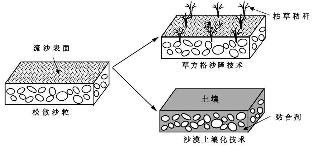 草方格沙障治沙原理示意图