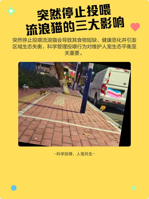 投喂的边界,很多人都没在意