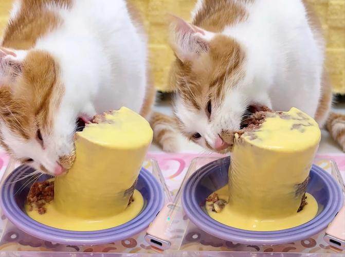 橘猫踩翻奶糕罐头的居家场景