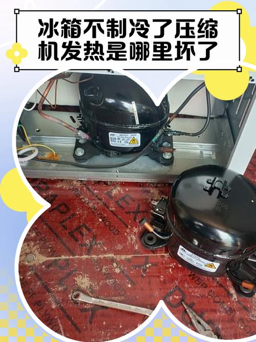 冰箱背部压缩机长期未通风积灰发霉场景