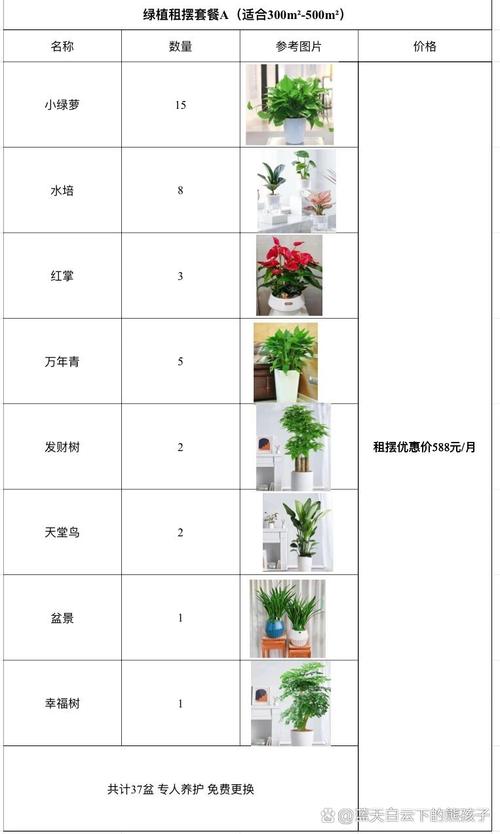婚礼王炸绿植单品清单,拿走不谢