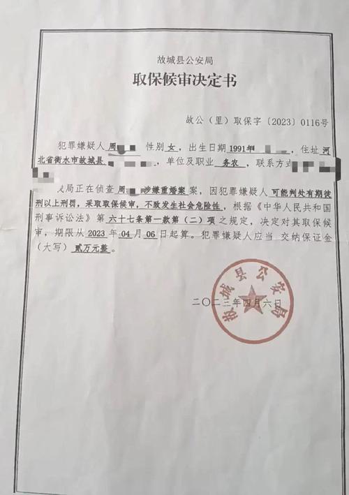 取保候审违规被没收保证金的法院执行公告截图