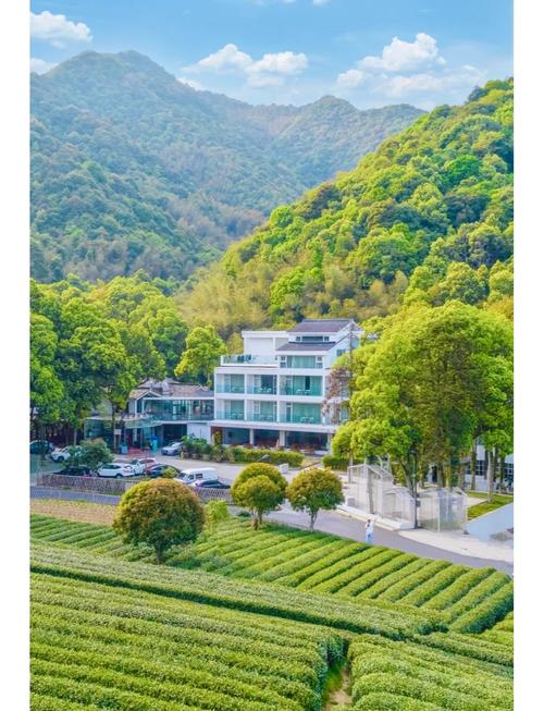 杭州龙坞茶山茶园民宿小院