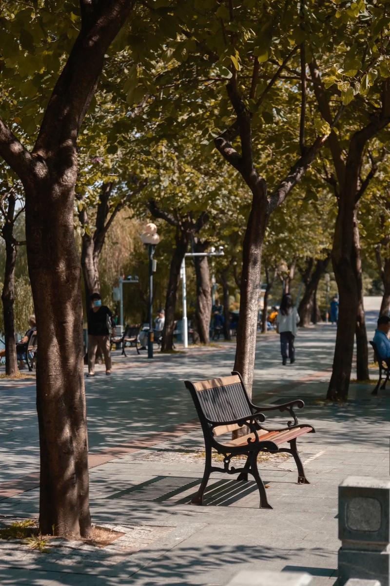 上班族在公园长椅发呆进行精力恢复的实景照片