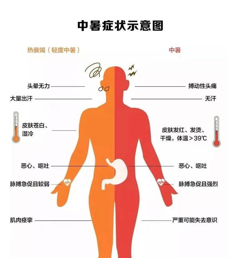 高温中暑早期身体信号示意图