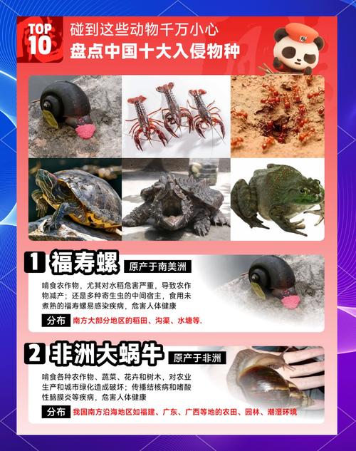 小众但救命：城市周边的野生动物入侵预警