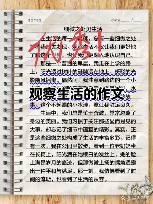 最后一句观察