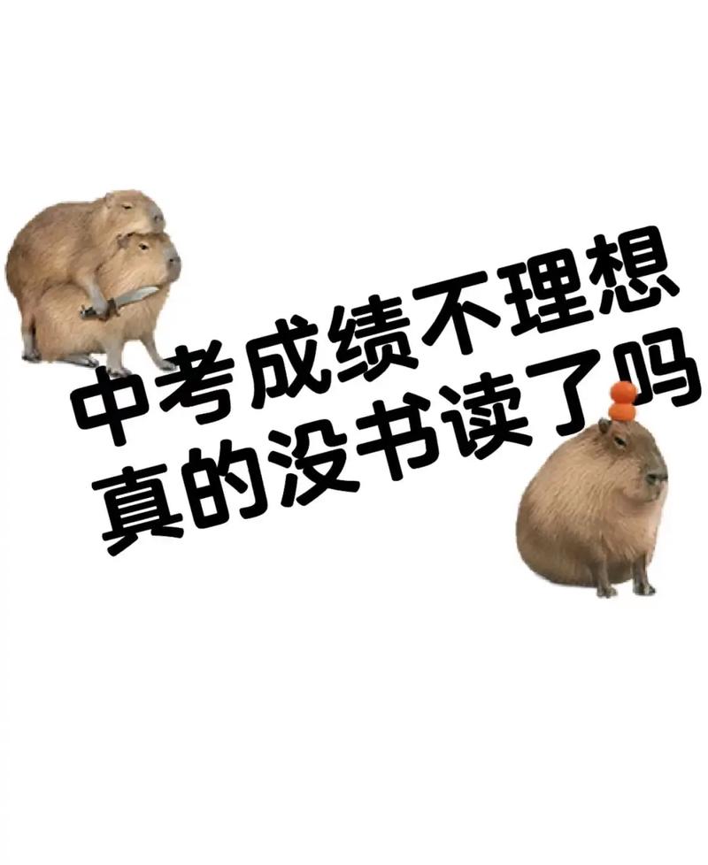 分数不够,就没书读了吗?