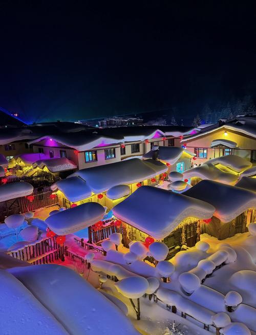 雪乡夜景雪蘑菇