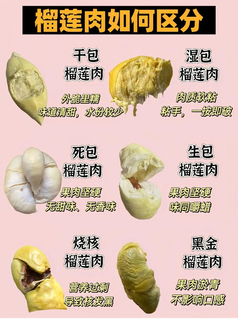 热带水果调适 山竹瓣旁榴莲果肉对比
