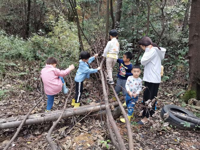森林幼儿园小朋友分组搬树枝活动照