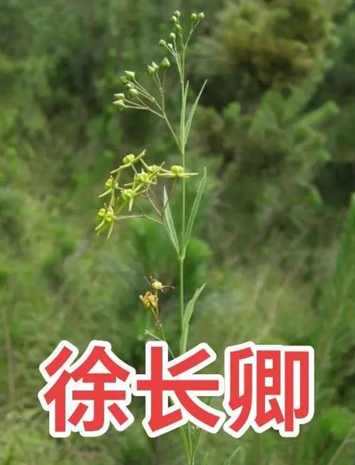 🌿 入住前最后一关：环保与验收，大意不得