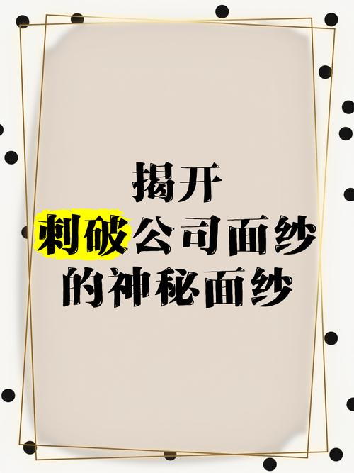 刺破公司面纱案例示意图
