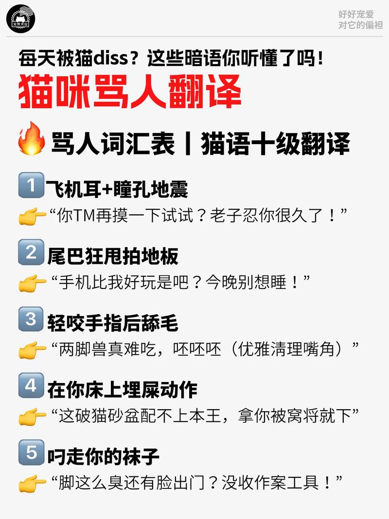 先别骂榜单，搞懂它怎么来的再说