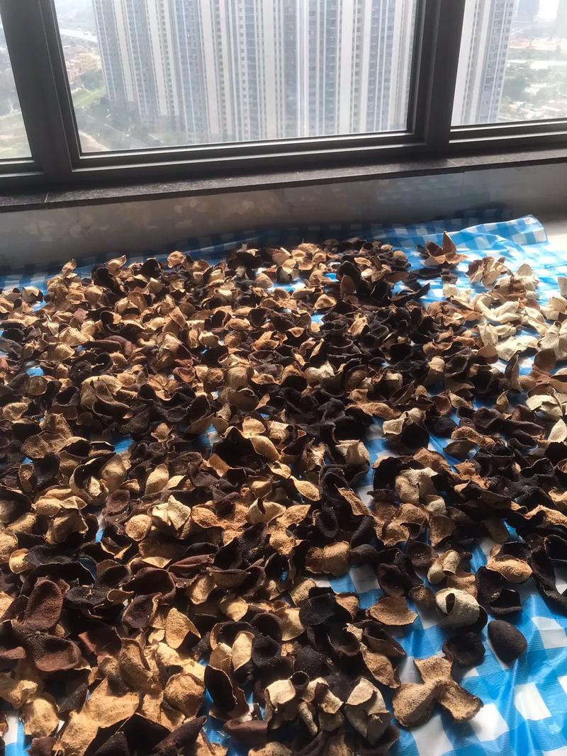 阳台竹筛晾晒橘子皮日常场景