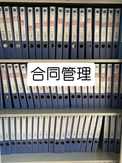 合同文件存放云盘文件夹截图