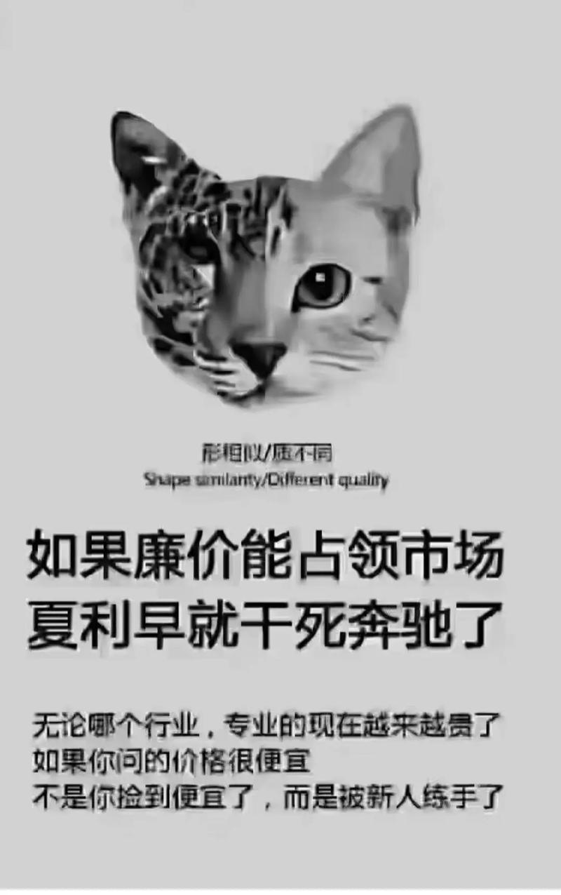 五、价格,呵呵,便宜往往是最贵的