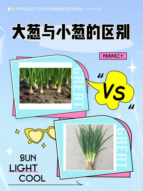 北方大葱和南方小葱对比图,放在木质砧板上