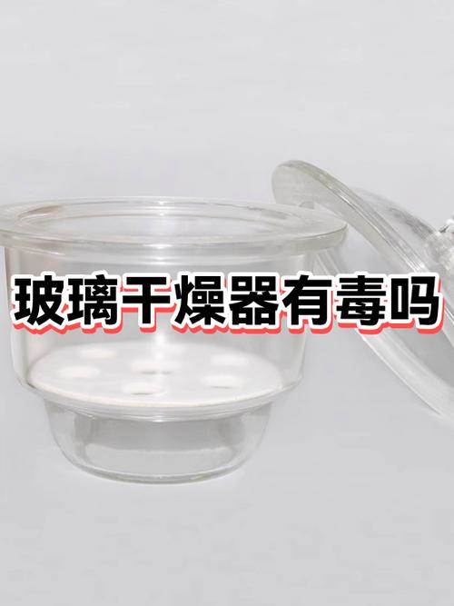密封玻璃罐中存放的干燥草本植物,旁边放着干燥剂和湿度计