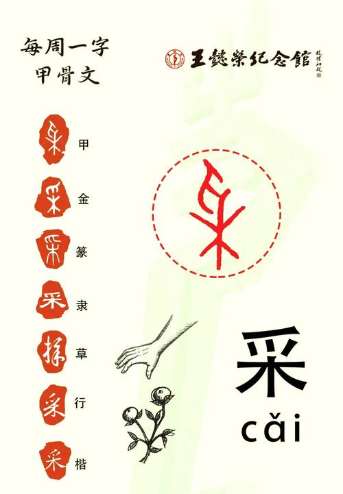 汉字字理识字教学图示采字