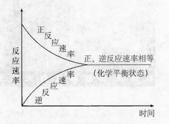 化学平衡状态浓度随时间变化曲线示意图