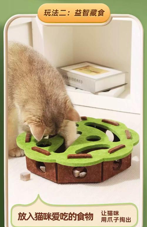 猫咪玩漏食玩具宠物丰容场景