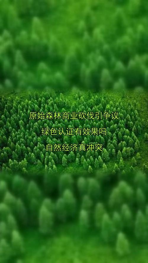 要真绿色，别搞伪概念炒作
