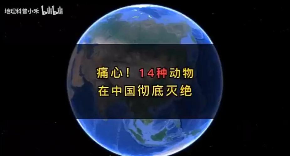 物种正在消失，连同翻滚的声浪
