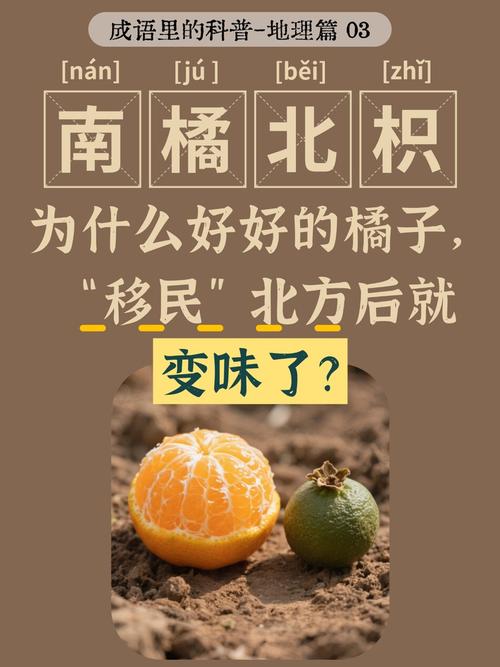 硅谷模式的南橘北枳