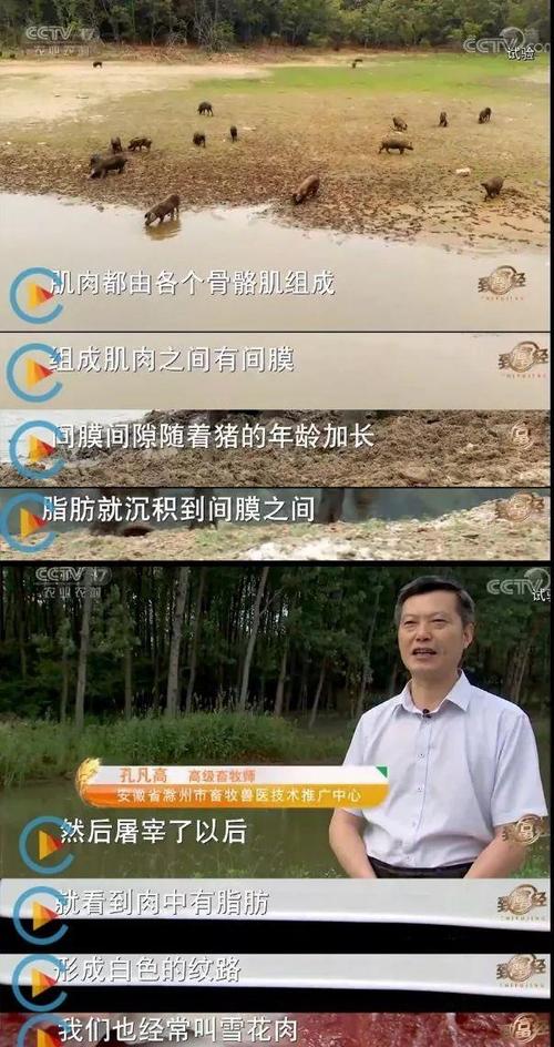 90%的销失效,都不是强度不够