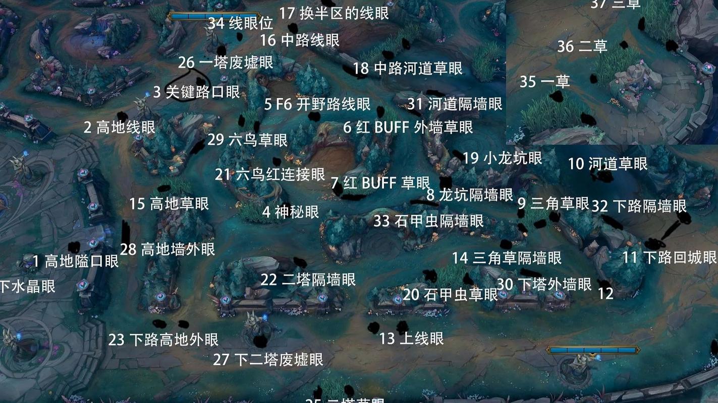 英雄联盟比赛专业分析图显示地图资源控制和眼位布置