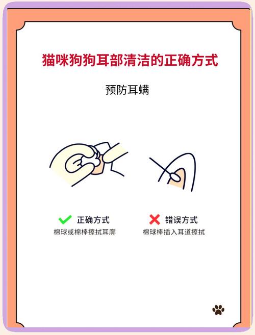 错误用棉棒给狗狗掏耳朵示意图