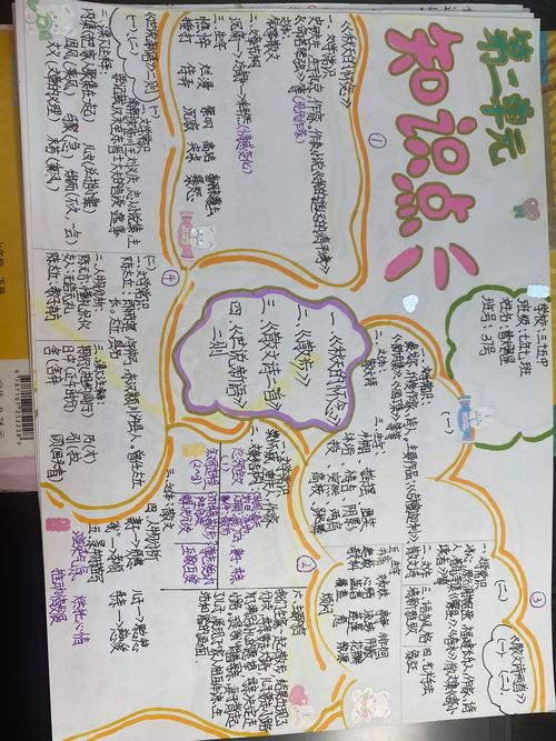 初中语文大单元项目式学习学生导览牌作业展示