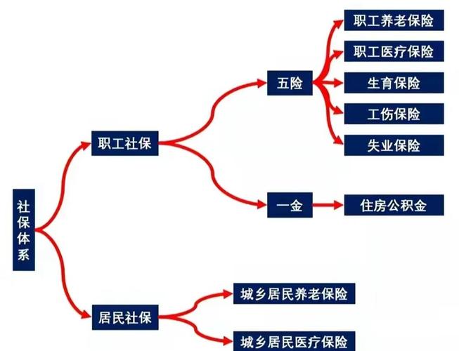 中国保险保障基金救助保险公司示意图